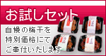 お試しセット