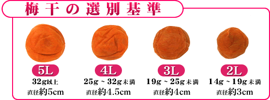 選別基準