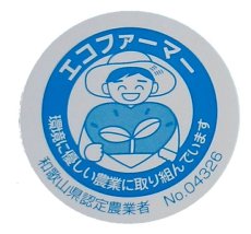 画像3: 白-HAKU-（白干し梅）【塩分１８％】ご家庭用容器入 150g入 (3)