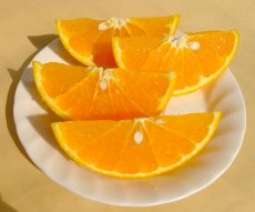 画像2: 木熟春峰（しゅんぽう）　A級品　約３ｋｇ・６ｋｇ／税・送料込み (2)